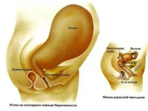 Непонятные ощущения во влагалище при беременности