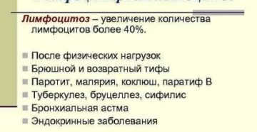 Лейкоцитоз, лимфоцитоз