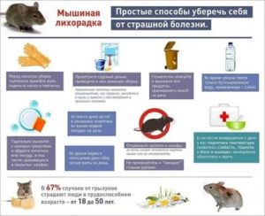 Мышиная лихорадка