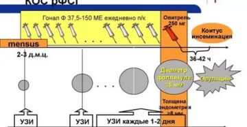 Стимуляция овуляции, эндометрий