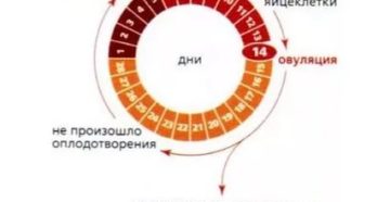 Длительные месячные с перерывом в 4 дня