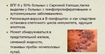 Вирус герпеса и Эко