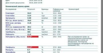 Понижены лейкоциты, нейтрофилы и повышены лимфоциты, моноциты