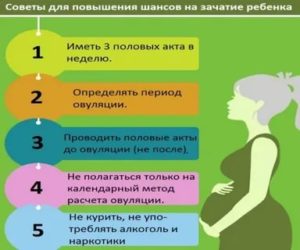 Не получается забеременеть 4 месяца