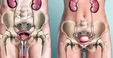 Боли при сексе с полным мочевым пузырём