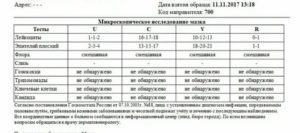 Мазок Лейкоциты 50-100 в п. з. Микрофлора - палочковидная, коккобациллы