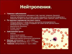 Снижение лейкоцитов и повышение эритроцитов при нейтропении