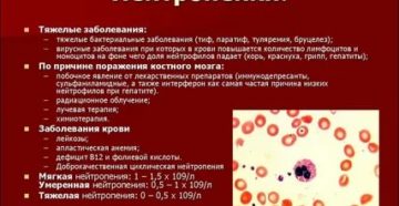 Снижение лейкоцитов и повышение эритроцитов при нейтропении Снижение лейкоцитов и повышение эритроцитов при нейтропении