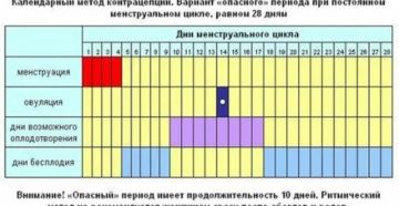 Возможно ли забеременеть на 24 день цикла?