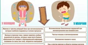Жжение при мочеиспускании после полового акта