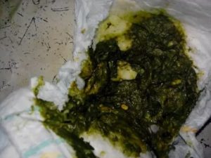 Стул темно зеленого цвета