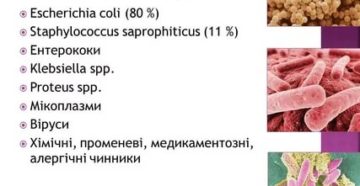 Может ли цистит быть вызван стафилококком