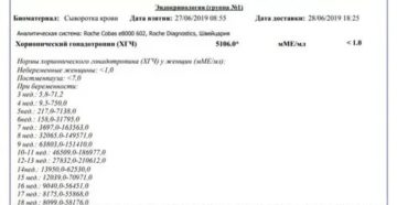Помогите разобраться с анализом хгч