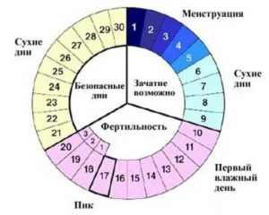 Кровь на 17 день цикла