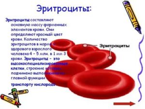 Повышены эритроциты