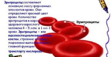 Повышены эритроциты