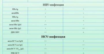 Гепатит в - значение анализа, признаков ГепатитаВ нет