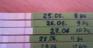 Когда прекратятся месячные, после отмены ОК Диане 35