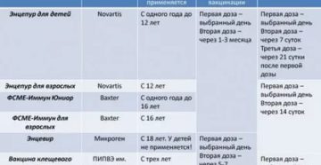 Прививка от клещевого энцефалита при планировании
