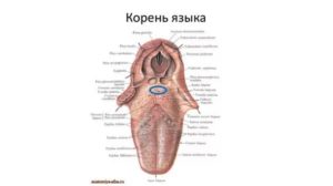 Мешают на корне языка какие-то наросты