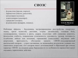 Бессоница при приеме паксила