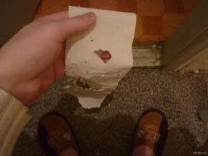 Почему после дефекации на туалетной бумаге всё чисто?