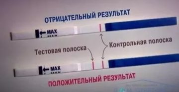 Вероятность беременности, 3 отрицательных теста