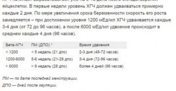 ХГЧ период удвоения