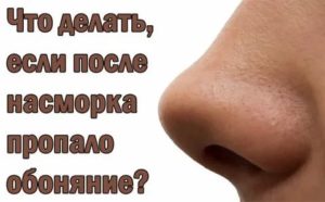 Пропало обоняние
