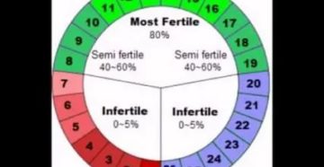 Месячные 16 дней