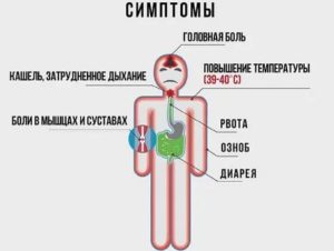 Головная боль, тошнота и пониженная температура