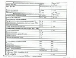Расшифровка спермограммы для ЭКО
