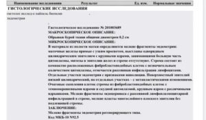 Помощь в расшифровке пайпель биопсии