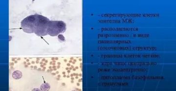 Пролиферация апокриновых клеток