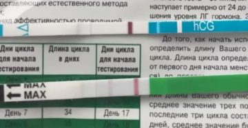 На 10 день цикла могу ли я забеременеть