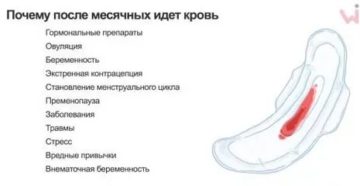 Месячные кровотечение болит грудь