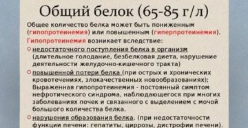 Повышен общий белок