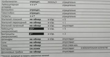 Эритроциты повышенные в анализе мочи по Нечипоренко у ребенка