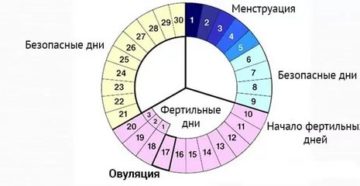 Вероятность забеременеть на 5 день месячных