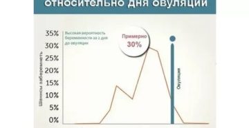 Вероятность забеременеть без проникновения при овуляции