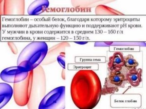 Гемоглобин 80