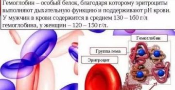 Гемоглобин 80