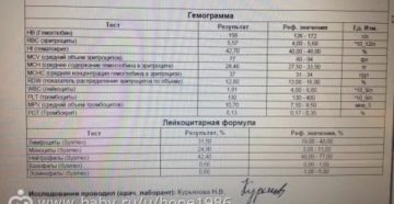 Лейкоцитарная формула при беременности