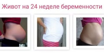 Болит живот 24 недели беременности