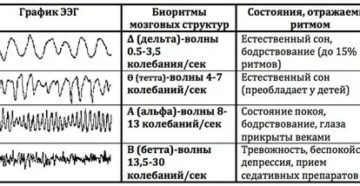 Расшифровать результаты ЭЭГ, РЭГ