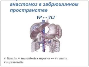 V. lienalis 2.0 см, чем это грозит?