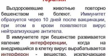 Иммунитет после вакцинации человека от бешенства