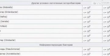 Klebsiella pneumoniae 1х10*3 в моче у ребенка 6.5 лет