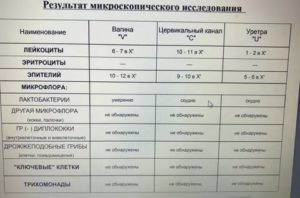 Лейкоциты в цервикальном канале