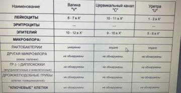 Лейкоциты в цервикальном канале